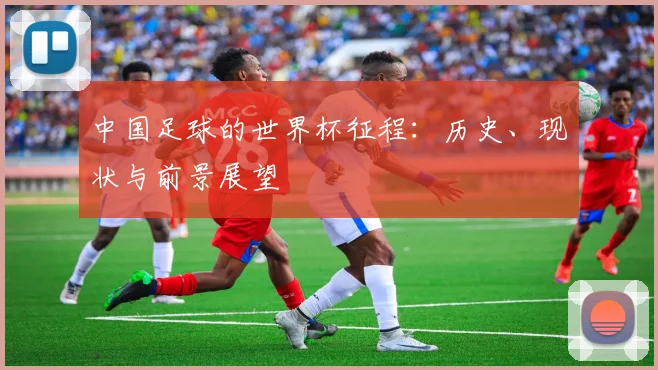 中国足球的世界杯征程：历史、现状与前景展望