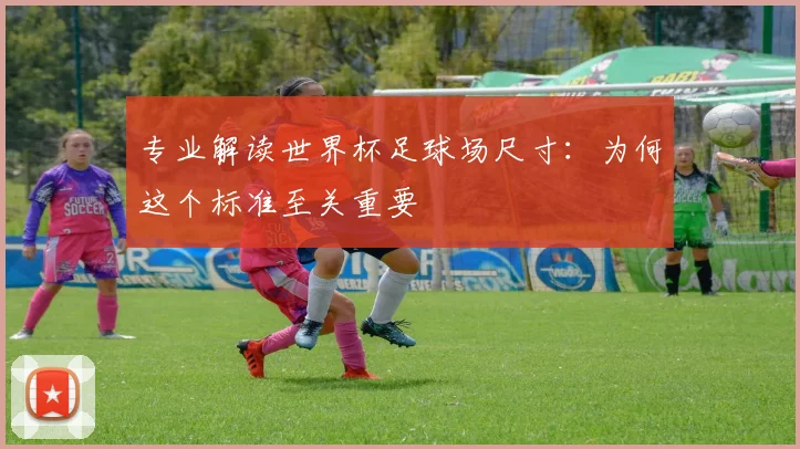 专业解读世界杯足球场尺寸:为何这个标准至关重要