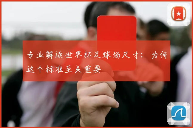 专业解读世界杯足球场尺寸:为何这个标准至关重要