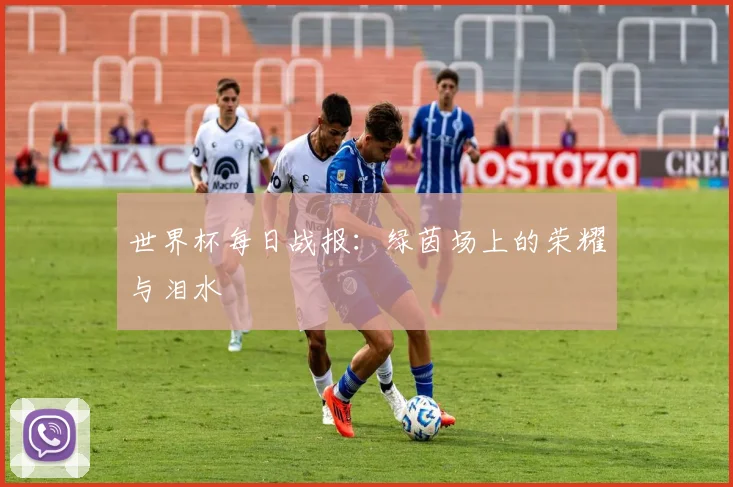 世界杯每日战报:绿茵场上的荣耀与泪水