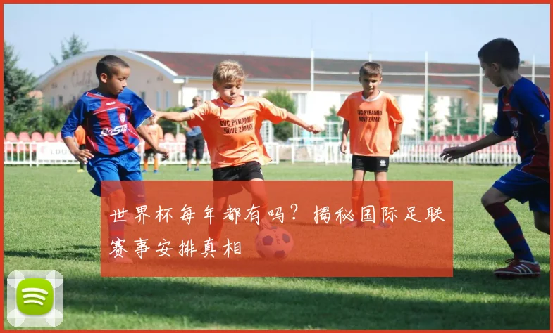 世界杯每年都有吗？揭秘国际足联赛事安排真相