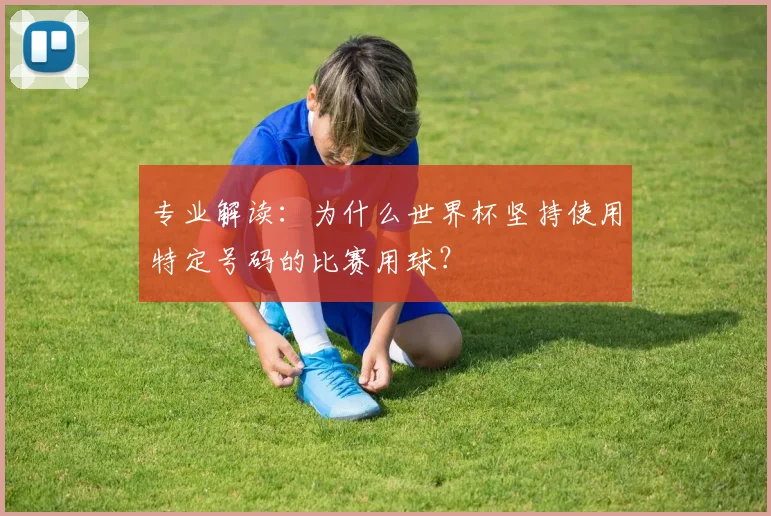专业解读:为什么世界杯坚持使用特定号码的比赛用球?